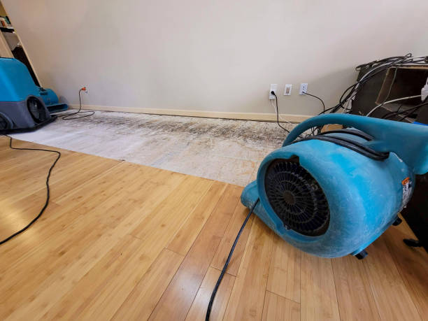 Professional Water Removal technician working in Bradner, OH